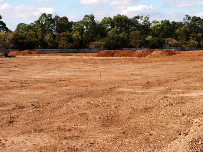 Spring Land Clearing Scene