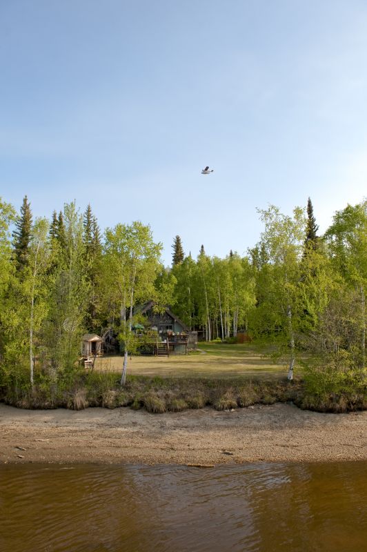 Clear Land with Professional Help