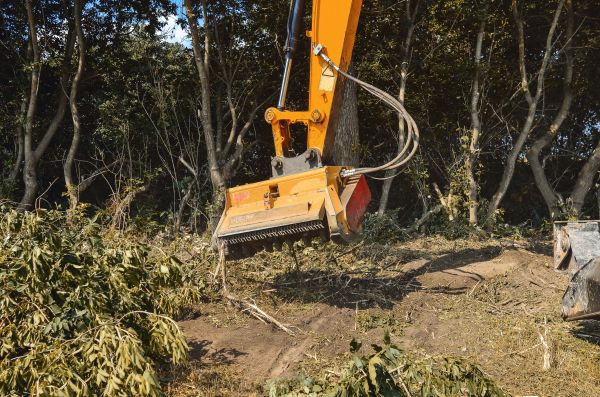 Brush Removal Service in Fort Collins